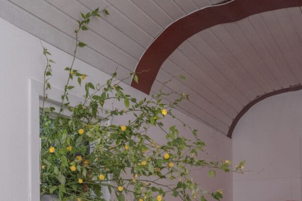 Ben Zank Playfully Twists the Banal — Colossal