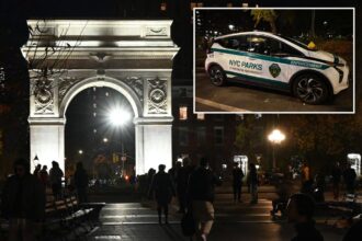 Bicyclist stabs pedestrian, pedals away after argument on NYC crosswalk outside Washington Square Park: sources