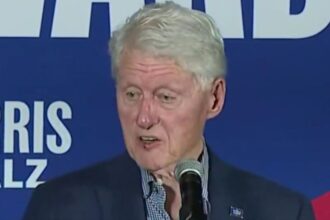 While campaigning for Vice President Kamala Harris in Arizona, former President Bill Clinton pointed out that her campaign is vulnerable.