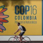 Biodiversity fund COP16 row