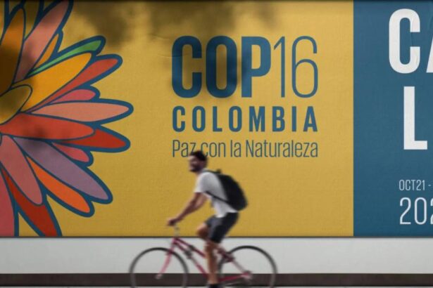 Biodiversity fund COP16 row