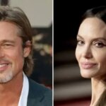 Brad Pitt Says Angelina Jolie Was Offered Eight Figures For Winery Share