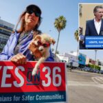 Californians overwhelmingly pass anti-crime Proposition 36