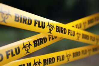 Canada Reports First Human Case Of H5N1 Bird Flu