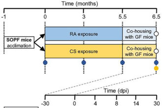 Cigarette smoke alters microbiota and aggravates flu severity, researchers find