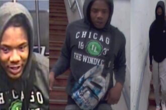 Cops seek 2 men who beat, tried to rob Red Line passenger on North Side