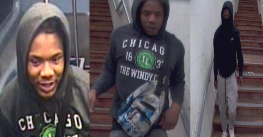 Cops seek 2 men who beat, tried to rob Red Line passenger on North Side