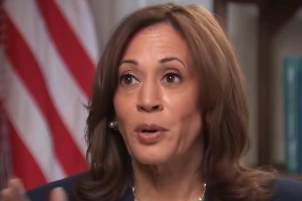 Democrats Worry Continued Fundraising by Kamala Harris is Hurting Them With Voters | The Gateway Pundit