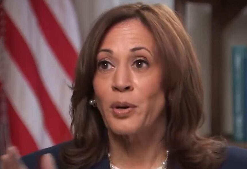 Democrats Worry Continued Fundraising by Kamala Harris is Hurting Them With Voters | The Gateway Pundit