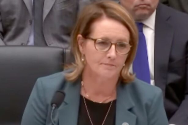 FEMA Head Grilled About Staffer Who Told Others to Avoid Homes with Trump Signs