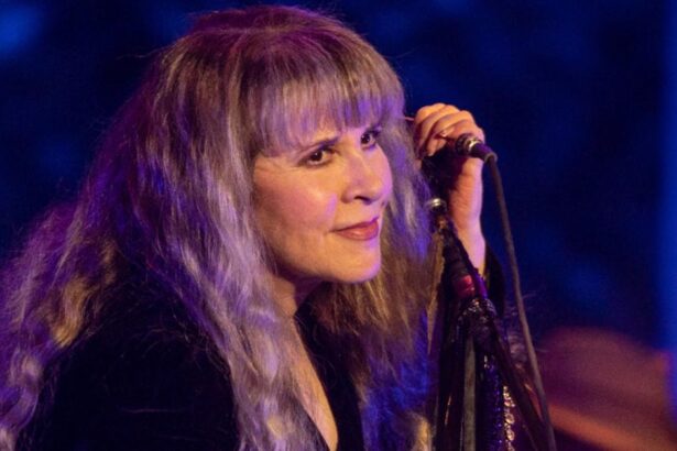 Fleetwood Mac's Stevie Nicks Admits Not Having Voted Until She Hit 70