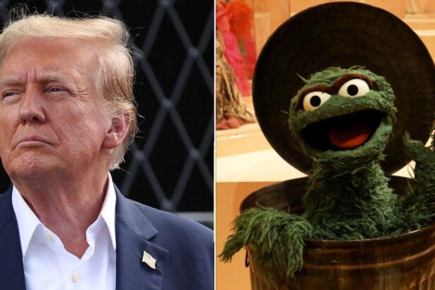 German Newspaper Mockingly Compares Donald Trump to Oscar the Grouch