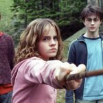 'Harry Potter' Prop Sold for Nearly $300K to Benefit Injured Stunt Double