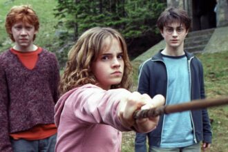 'Harry Potter' Prop Sold for Nearly $300K to Benefit Injured Stunt Double