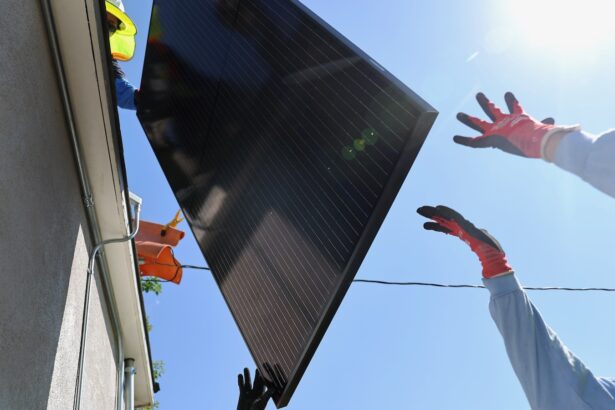 He’ll try, but Trump can’t stop the clean energy revolution