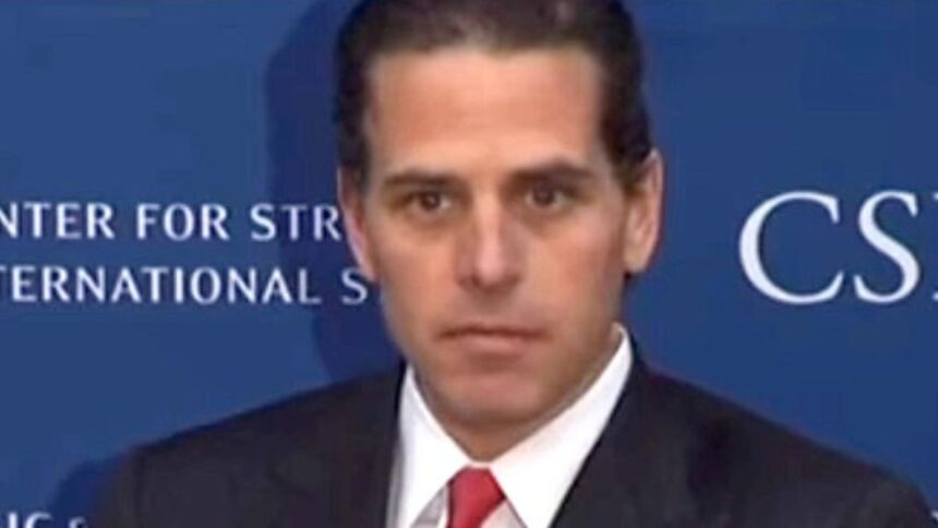 Hunter Biden Pleads Guilty to Tax Charges, Avoids Public Trial