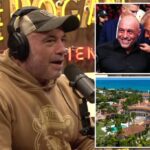 Joe Rogan hints he will record podcast from Mar-a-Lago with Trump as 'walk-on' guest -- after refusing to travel for Harris