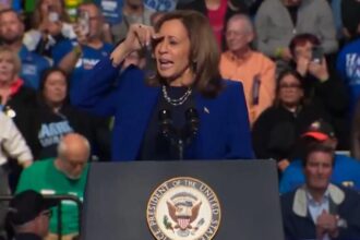 Kamala Spirals After Another Speech is Interrupted by Protestors (VIDEO) | The Gateway Pundit