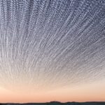 a sunset timelapse photo of a landscape with a dramatic murmuration of starlings