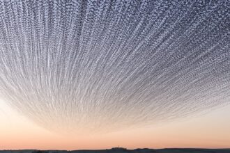 a sunset timelapse photo of a landscape with a dramatic murmuration of starlings