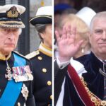 King Charles III & Prince Andrew's Feud Explained: Finances, Scandals