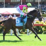 Knight's Choice wins Melbourne Cup in big upset