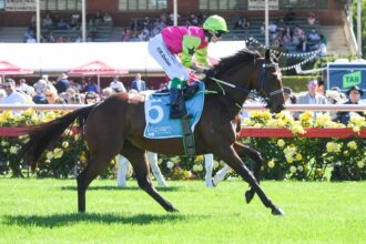 Knight's Choice wins Melbourne Cup in big upset