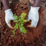 Let African Communities Manage Their Climate Adaptation Plans