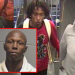 Man charged with one of several robberies that swept the Red Line in September