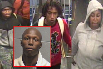 Man charged with one of several robberies that swept the Red Line in September