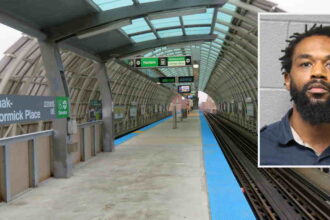 Man gets 10 years for pushing 66-year-old tourist onto L tracks