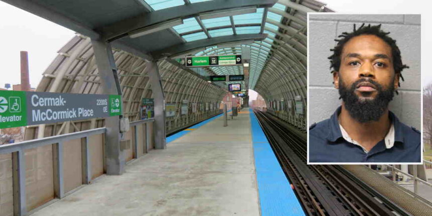 Man gets 10 years for pushing 66-year-old tourist onto L tracks