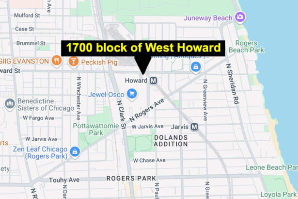 Man stabbed during fight outside Howard CTA station