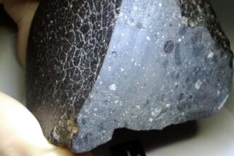 Meteorite crystals show evidence of hot water on ancient Mars