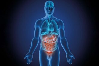 Most comprehensive picture yet of how organs age at different rates