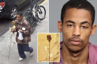 NYC thief, Deikel Alcantara, accused of stealing gold-plated 9/11 memorial rose, laughs at arraignment