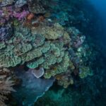 Ocean acidification is reaching deeper waters