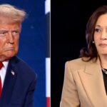 On Night Before Election Day, Kamala Harris Brings In Celebrities. Donald Trump Is Unimpressed