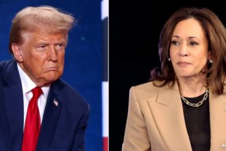 On Night Before Election Day, Kamala Harris Brings In Celebrities. Donald Trump Is Unimpressed