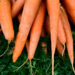 One dead, dozens hospitalized after E. coli outbreak in organic carrots