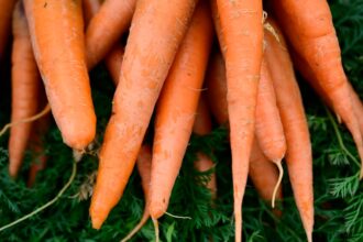 One dead, dozens hospitalized after E. coli outbreak in organic carrots