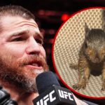 Peanut the Squirrel Shouted Out at UFC 309 and 'SNL'