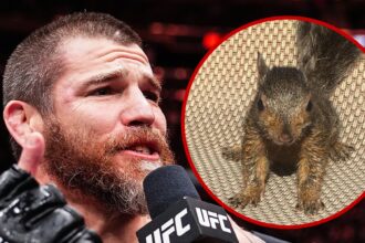 Peanut the Squirrel Shouted Out at UFC 309 and ‘SNL’