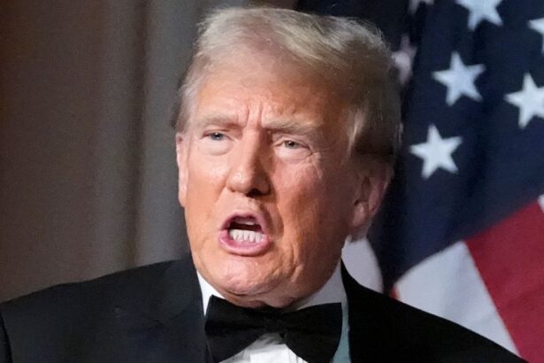 ‘Probably Illegal’: Law Professor Spots 1 Trump Move That Could Be ‘Very Destructive’