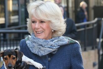 Queen Camilla's Longtime Dog Beth Dies, Buckingham Palace Announces