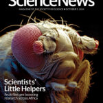 October 5, 2024 cover of Science News