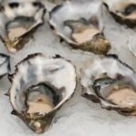 Recycling Mystery: Oyster Shells - Earth911