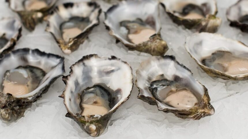 Recycling Mystery: Oyster Shells - Earth911