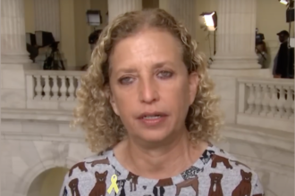 Rep. Wasserman Schultz Lanuches DIsgusting Attack on Tulsi Gabbard, Calls Her a 'Russian Asset' (Video) | The Gateway Pundit