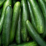 Salmonella Outbreak Linked To Cucumbers Infects 68